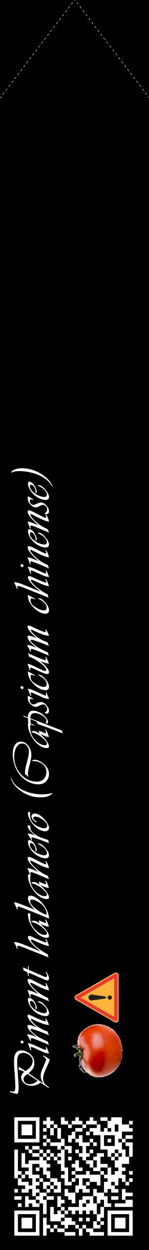 Étiquette de : Capsicum chinense - format c - style blanche59_simpleviv avec qrcode et comestibilité simplifiée