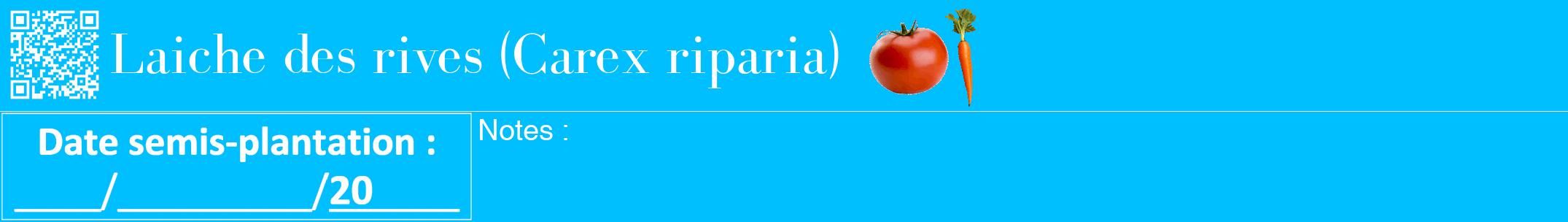 Étiquette de : Carex riparia - format a - style blanche2bod avec qrcode et comestibilité simplifiée