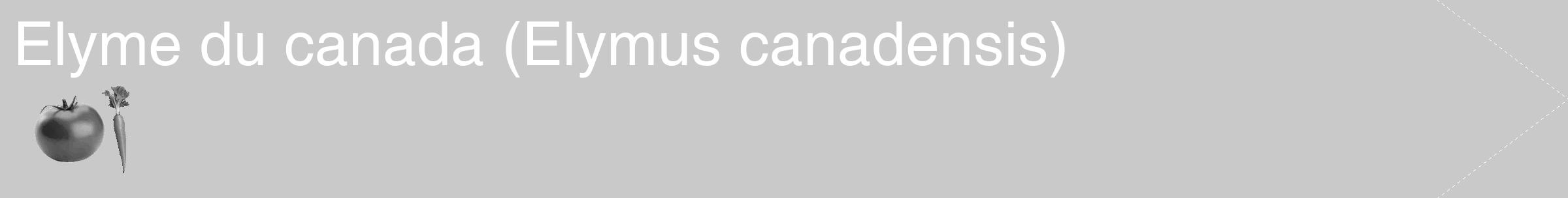 Étiquette de : Elymus canadensis - format c - style blanche54_simple_simplehel avec comestibilité simplifiée