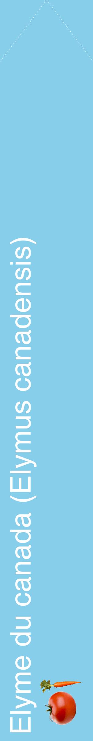 Étiquette de : Elymus canadensis - format c - style blanche1_simplehel avec comestibilité simplifiée
