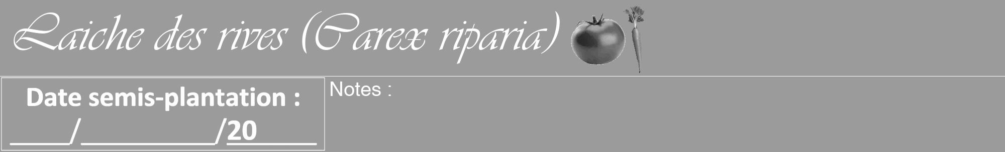Étiquette de : Carex riparia - format a - style blanche52viv avec comestibilité simplifiée