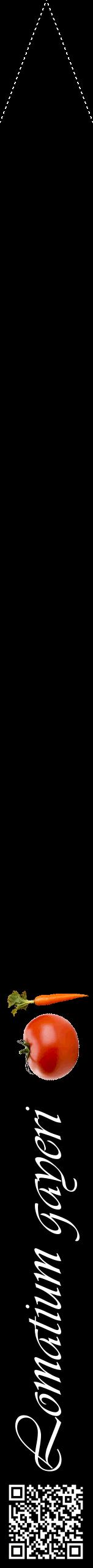 Étiquette de : Lomatium gayeri - format b - style blanche59viv avec qrcode et comestibilité simplifiée