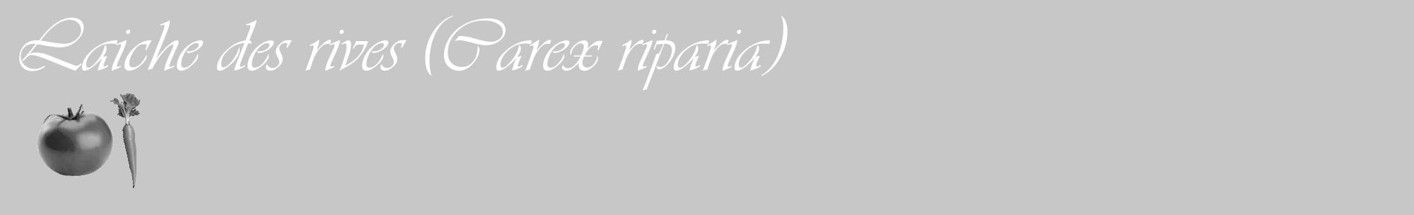 Étiquette de : Carex riparia - format c - style blanche15_basique_basiqueviv avec comestibilité simplifiée