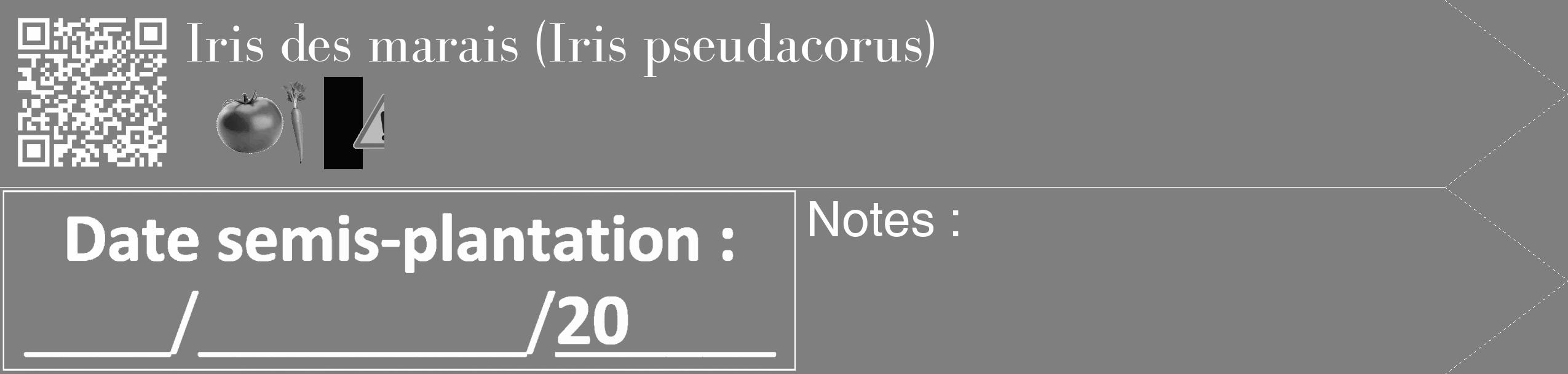Étiquette de : Iris pseudacorus - format c - style blanche31_simple_simplebod avec qrcode et comestibilité simplifiée