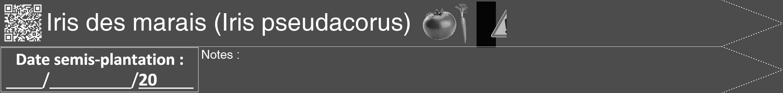 Étiquette de : Iris pseudacorus - format b - style blanche27hel avec qrcode et comestibilité simplifiée