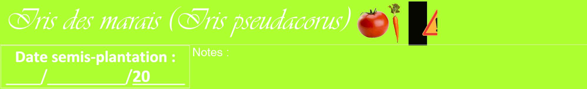Étiquette de : Iris pseudacorus - format a - style blanche17viv avec comestibilité simplifiée