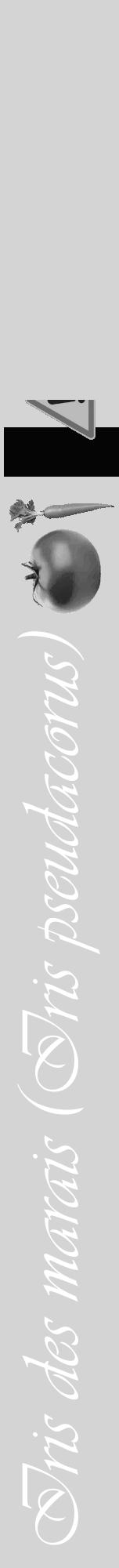 Étiquette de : Iris pseudacorus - format a - style blanche40viv avec comestibilité simplifiée - position verticale