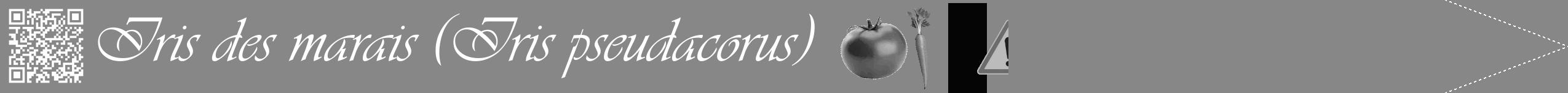 Étiquette de : Iris pseudacorus - format b - style blanche12viv avec qrcode et comestibilité simplifiée