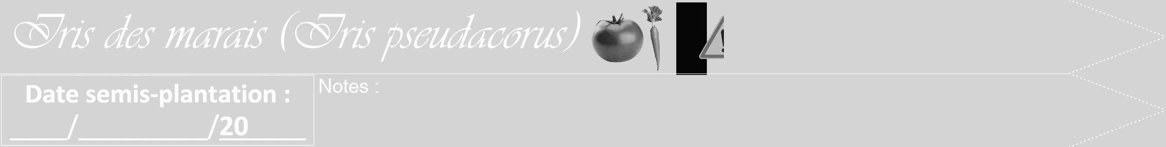 Étiquette de : Iris pseudacorus - format b - style blanche40viv avec comestibilité simplifiée