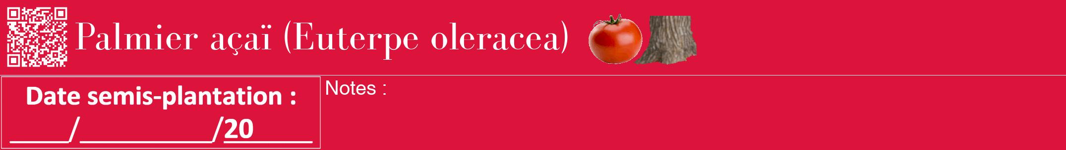 Étiquette de : Euterpe oleracea - format a - style blanche36bod avec qrcode et comestibilité simplifiée