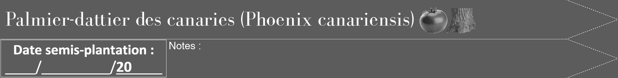 Étiquette de : Phoenix canariensis - format b - style blanche49simplebod avec comestibilité simplifiée