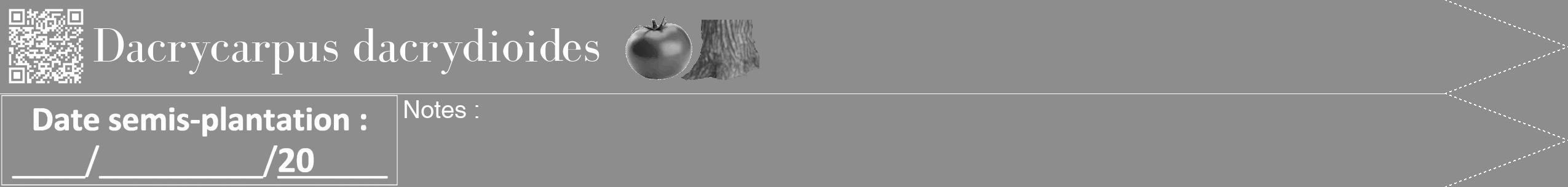 Étiquette de : Dacrycarpus dacrydioides - format b - style blanche2bod avec qrcode et comestibilité simplifiée
