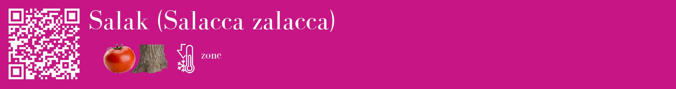 Étiquette de : Salacca zalacca - format c - style blanche45_basique_basiquebod avec qrcode et comestibilité simplifiée