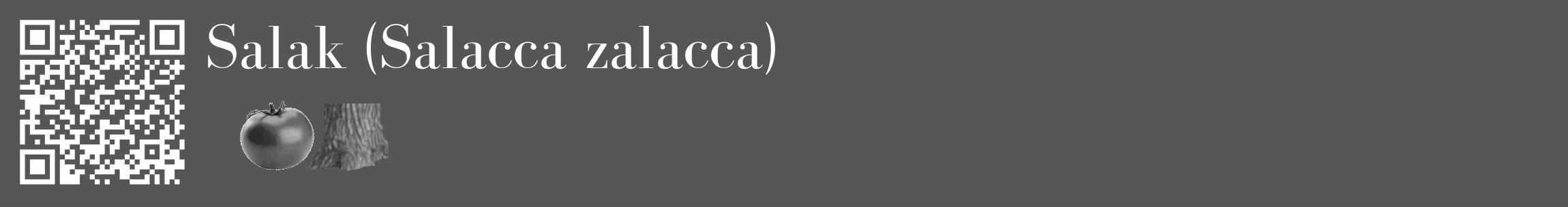 Étiquette de : Salacca zalacca - format c - style blanche45_basique_basiquebod avec qrcode et comestibilité simplifiée