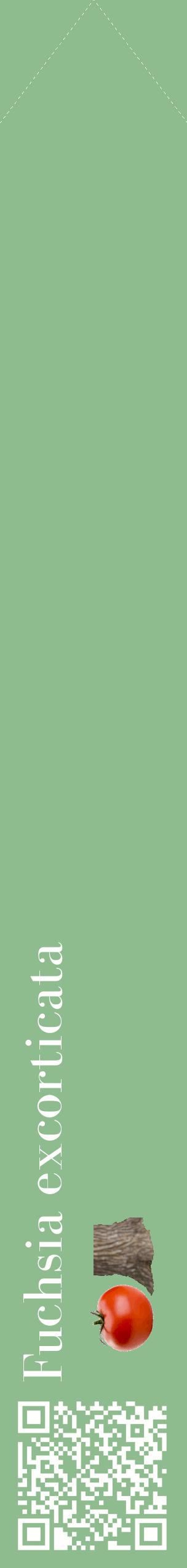 Étiquette de : Fuchsia excorticata - format c - style blanche13_simplebod avec qrcode et comestibilité simplifiée