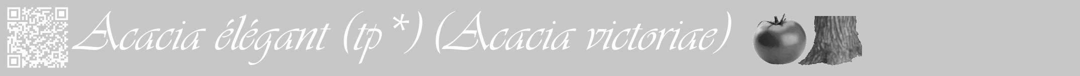 Étiquette de : Acacia victoriae - format a - style blanche15viv avec qrcode et comestibilité simplifiée