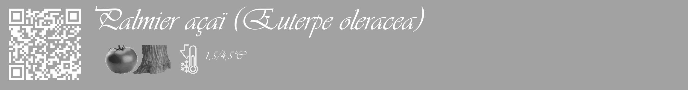 Étiquette de : Euterpe oleracea - format c - style blanche38_basique_basiqueviv avec qrcode et comestibilité simplifiée