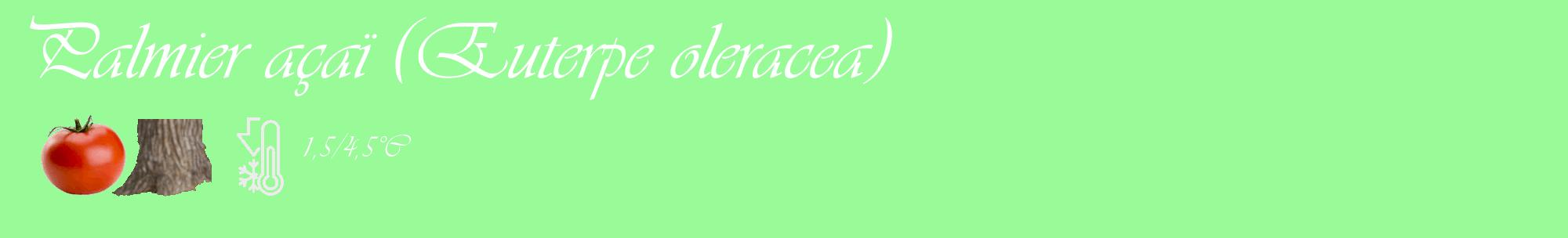 Étiquette de : Euterpe oleracea - format c - style blanche14_basique_basiqueviv avec comestibilité simplifiée