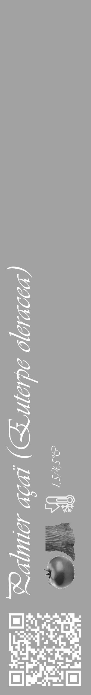 Étiquette de : Euterpe oleracea - format c - style blanche38_basique_basiqueviv avec qrcode et comestibilité simplifiée - position verticale