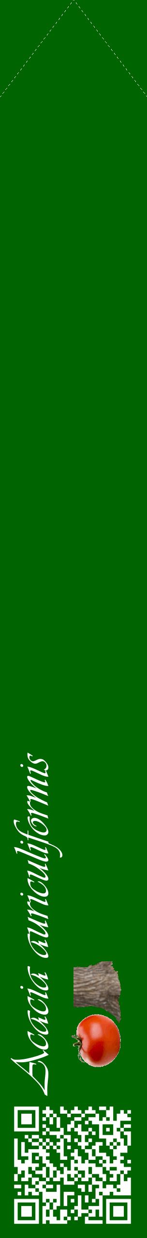 Étiquette de : Acacia auriculiformis - format c - style blanche8_simpleviv avec qrcode et comestibilité simplifiée