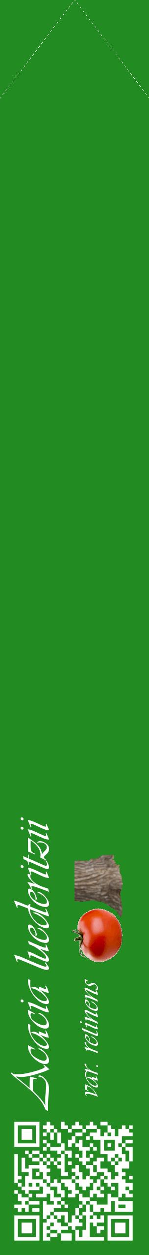 Étiquette de : Acacia luederitzii var. retinens - format c - style blanche10_simpleviv avec qrcode et comestibilité simplifiée
