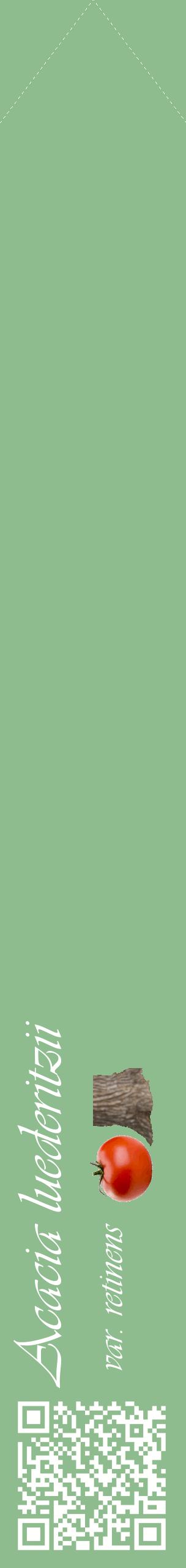 Étiquette de : Acacia luederitzii var. retinens - format c - style blanche13_simpleviv avec qrcode et comestibilité simplifiée