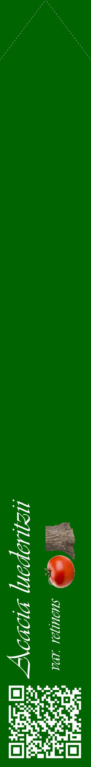 Étiquette de : Acacia luederitzii var. retinens - format c - style blanche8_simpleviv avec qrcode et comestibilité simplifiée