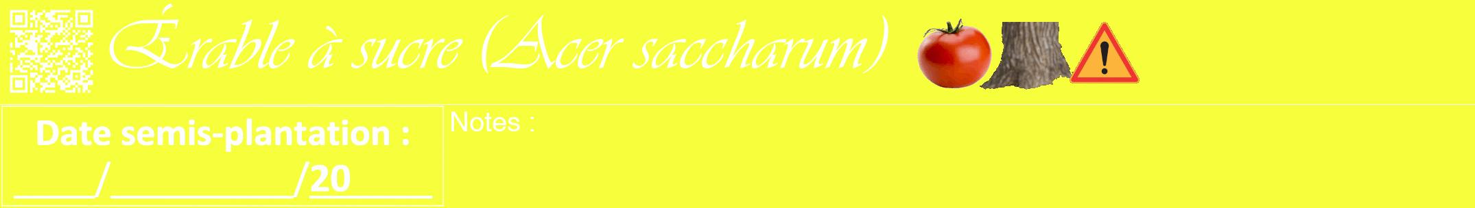 Étiquette de : Acer saccharum - format a - style blanche18viv avec qrcode et comestibilité simplifiée