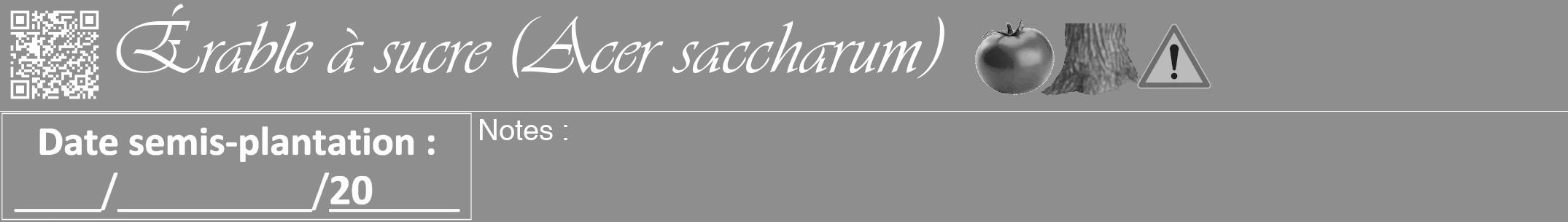 Étiquette de : Acer saccharum - format a - style blanche25viv avec qrcode et comestibilité simplifiée