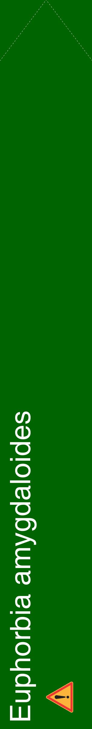 Étiquette de : Euphorbia amygdaloides - format c - style blanche8_simplehel avec comestibilité simplifiée