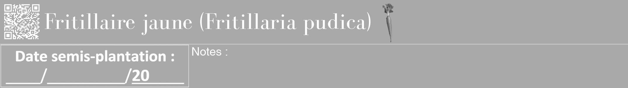 Étiquette de : Fritillaria pudica - format a - style blanche13bod avec qrcode et comestibilité simplifiée