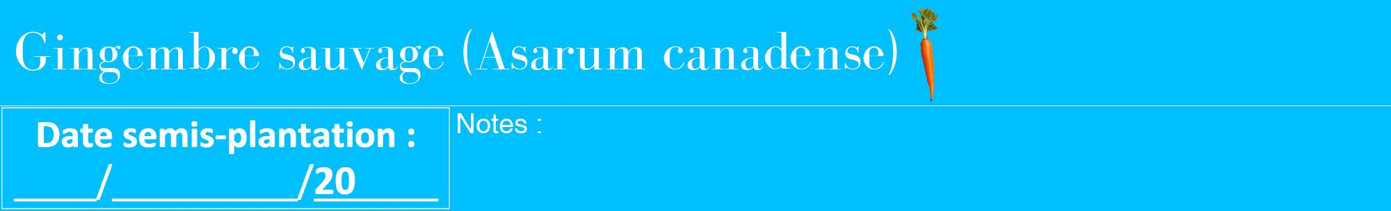 Étiquette de : Asarum canadense - format a - style blanche2bod avec comestibilité simplifiée