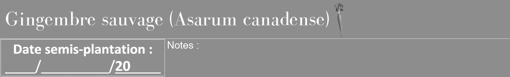 Étiquette de : Asarum canadense - format a - style blanche2bod avec comestibilité simplifiée