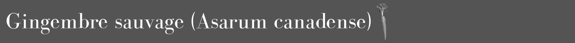 Étiquette de : Asarum canadense - format a - style blanche36bod avec comestibilité simplifiée