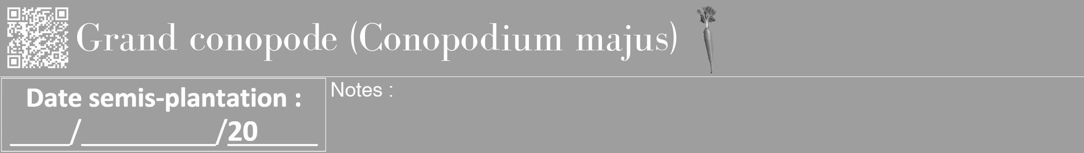 Étiquette de : Conopodium majus - format a - style blanche23bod avec qrcode et comestibilité simplifiée