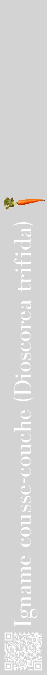 Étiquette de : Dioscorea trifida - format a - style blanche56bod avec qrcode et comestibilité simplifiée