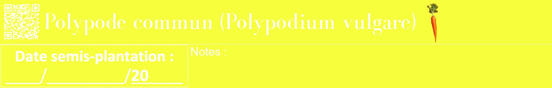 Étiquette de : Polypodium vulgare - format a - style blanche18basiquebod avec qrcode et comestibilité simplifiée