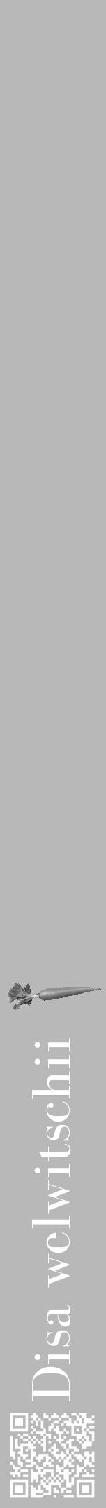 Étiquette de : Disa welwitschii - format a - style blanche39bod avec qrcode et comestibilité simplifiée - position verticale
