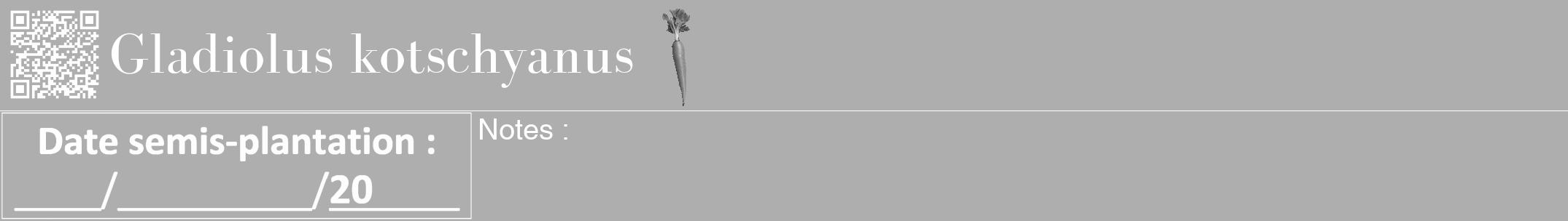 Étiquette de : Gladiolus kotschyanus - format a - style blanche53bod avec qrcode et comestibilité simplifiée