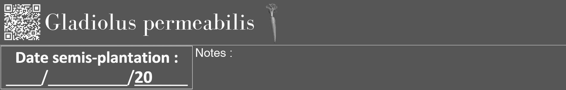 Étiquette de : Gladiolus permeabilis - format a - style blanche45basiquebod avec qrcode et comestibilité simplifiée