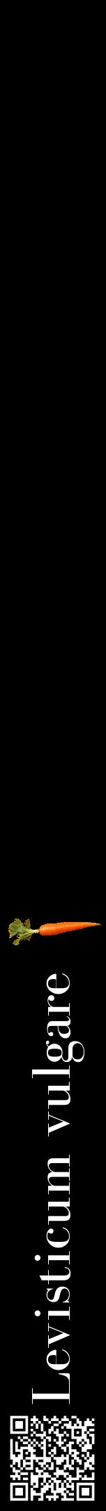 Étiquette de : Levisticum vulgare - format a - style blanche59bod avec qrcode et comestibilité simplifiée
