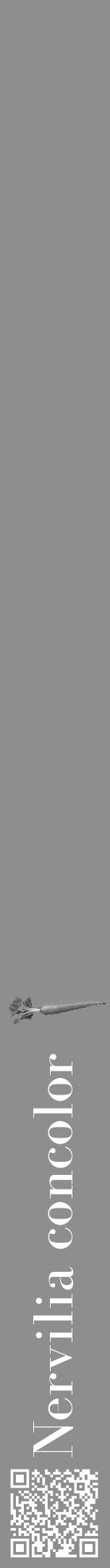 Étiquette de : Nervilia concolor - format a - style blanche25bod avec qrcode et comestibilité simplifiée - position verticale