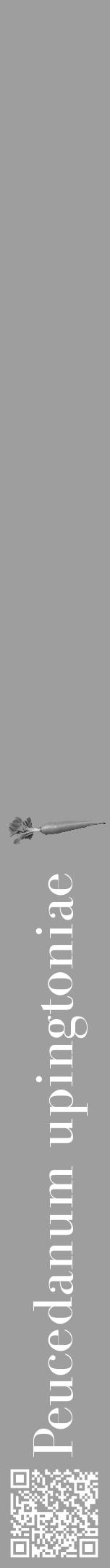 Étiquette de : Peucedanum upingtoniae - format a - style blanche23bod avec qrcode et comestibilité simplifiée - position verticale