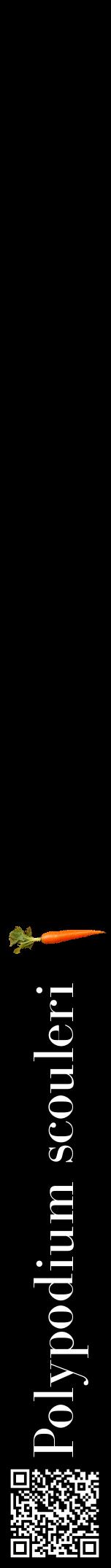 Étiquette de : Polypodium scouleri - format a - style blanche59bod avec qrcode et comestibilité simplifiée