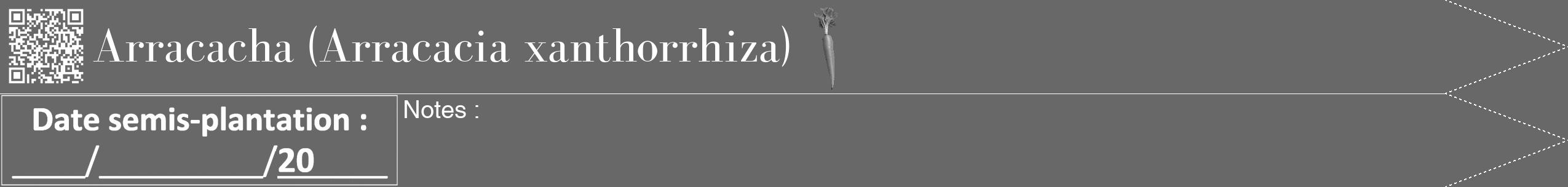 Étiquette de : Arracacia xanthorrhiza - format b - style blanche6bod avec qrcode et comestibilité simplifiée
