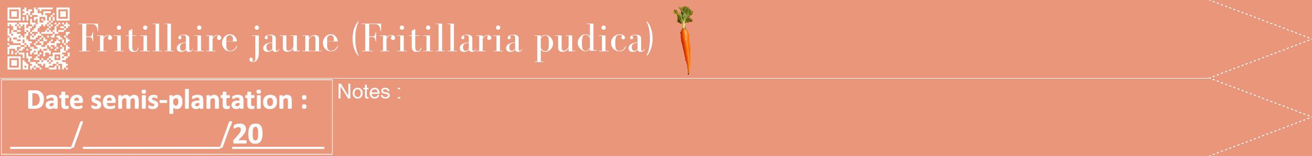 Étiquette de : Fritillaria pudica - format b - style blanche37bod avec qrcode et comestibilité simplifiée