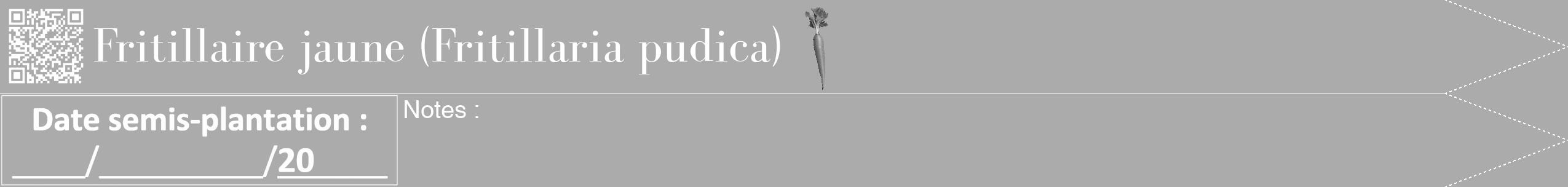 Étiquette de : Fritillaria pudica - format b - style blanche37bod avec qrcode et comestibilité simplifiée