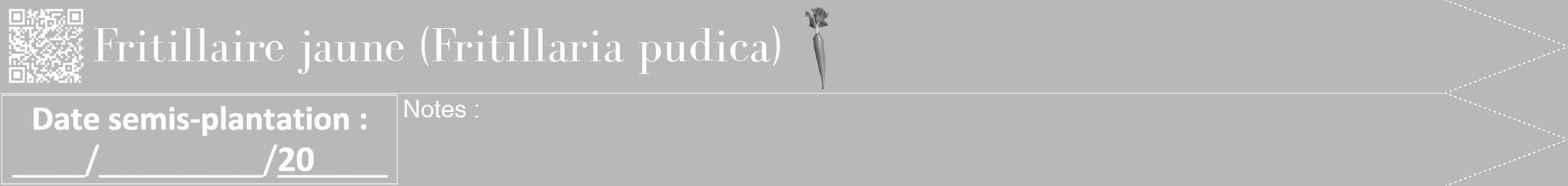 Étiquette de : Fritillaria pudica - format b - style blanche39bod avec qrcode et comestibilité simplifiée