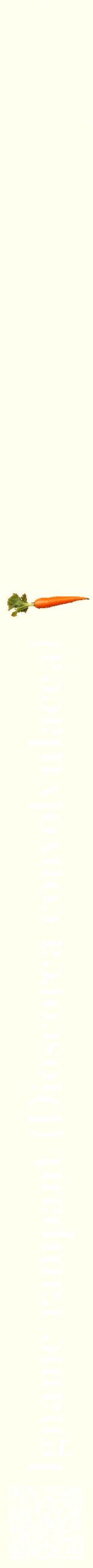 Étiquette de : Dioscorea convolvulacea - format b - style blanche19bod avec qrcode et comestibilité simplifiée