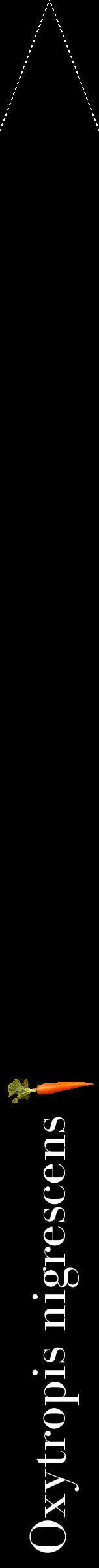 Étiquette de : Oxytropis nigrescens - format b - style blanche59bod avec comestibilité simplifiée